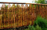 Bamboe tuinscherm